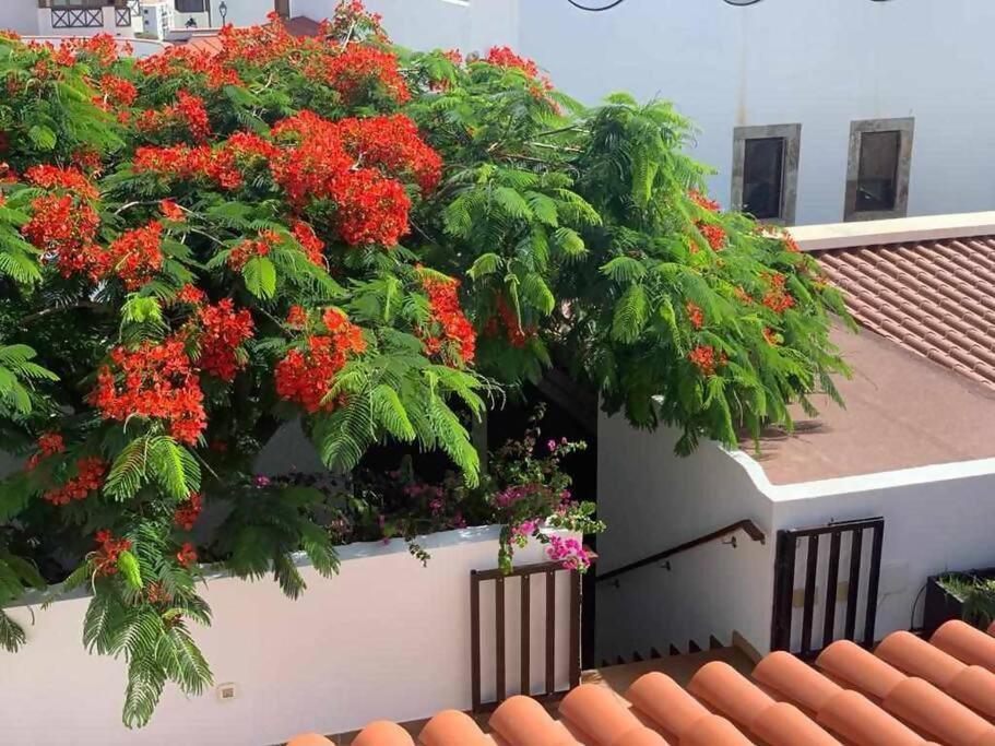 Villa Garoe Puerto de las Nieves Exterior foto